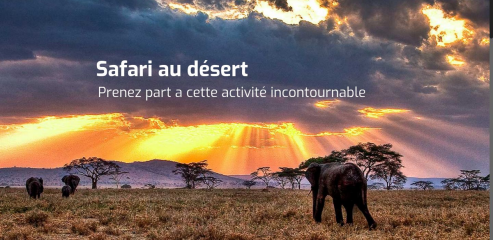 https://www.desert-safari.org