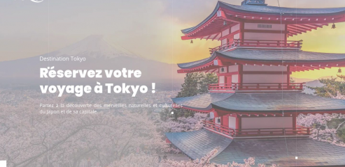 https://www.destinationtokyo.net