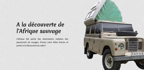 https://www.voyage-safari-afrique.com